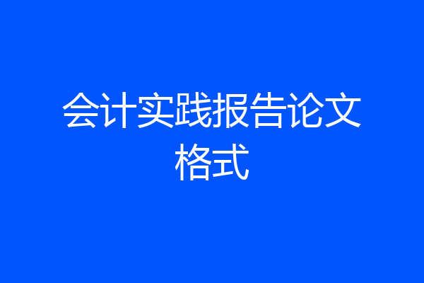 会计实践报告论文格式