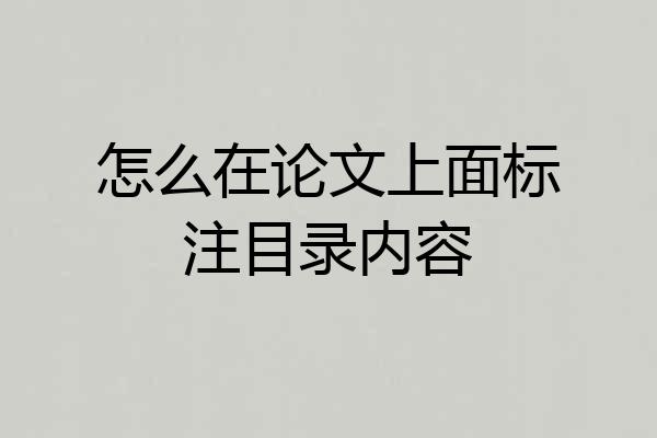 怎么在论文上面标注目录内容