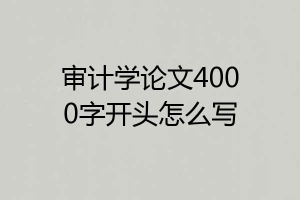 审计学论文4000字开头怎么写