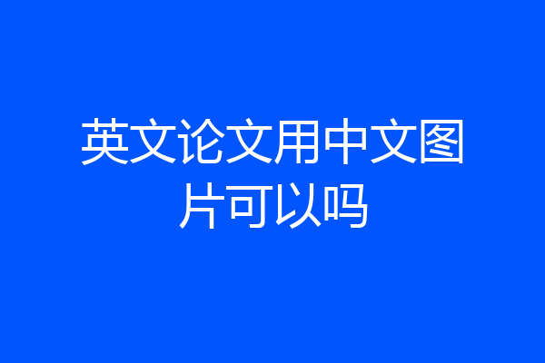 英文论文用中文图片可以吗