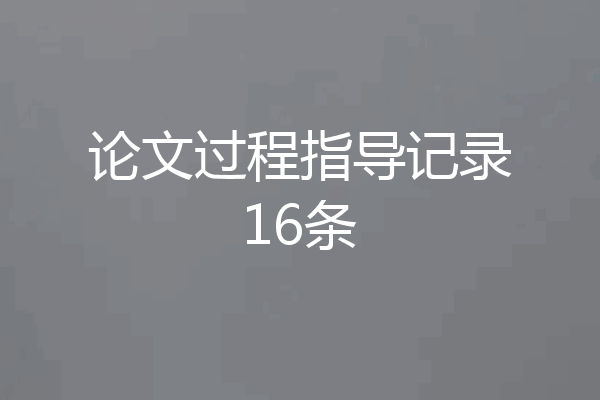 论文过程指导记录16条