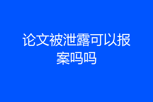 论文被泄露可以报案吗吗