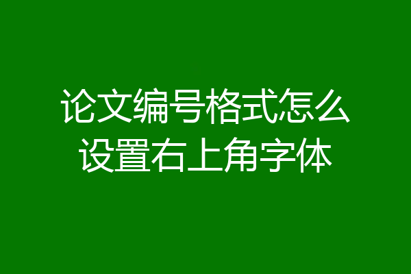 论文编号格式怎么设置右上角字体