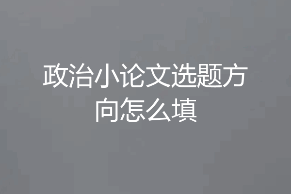 政治小论文选题方向怎么填