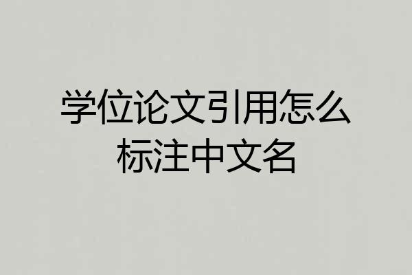 学位论文引用怎么标注中文名