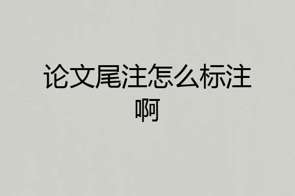 论文尾注怎么标注啊