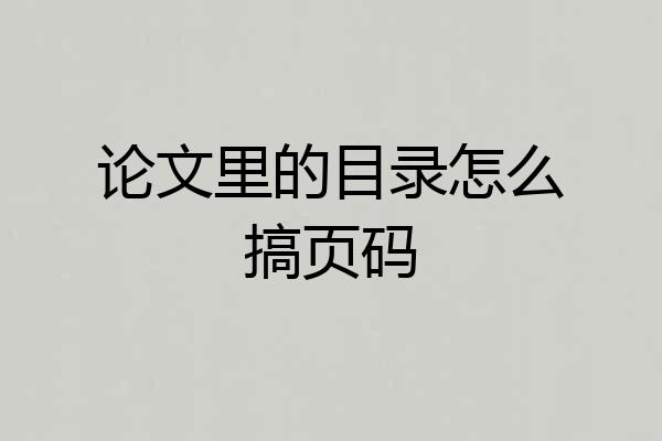 论文里的目录怎么搞页码