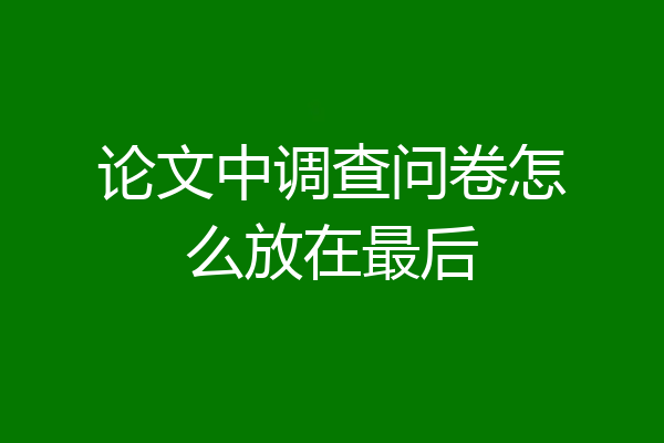 论文中调查问卷怎么放在最后