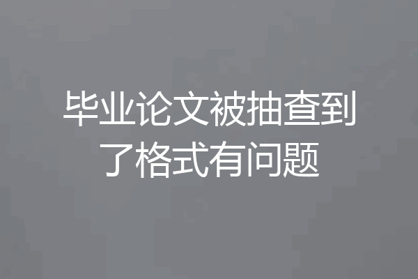 毕业论文被抽查到了格式有问题