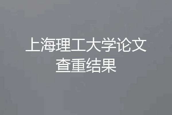 上海理工大学论文查重结果