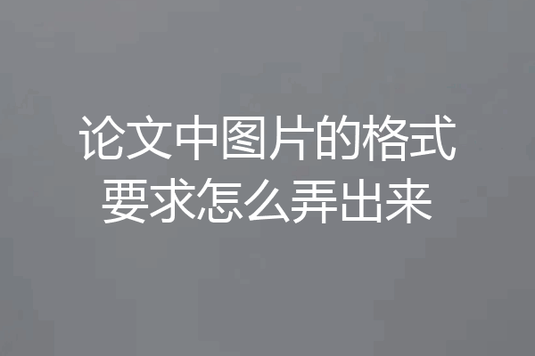 论文中图片的格式要求怎么弄出来