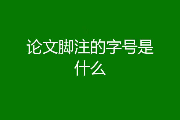 论文脚注的字号是什么