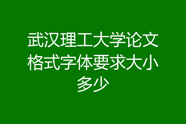 武汉理工大学论文格式字体要求大小多少