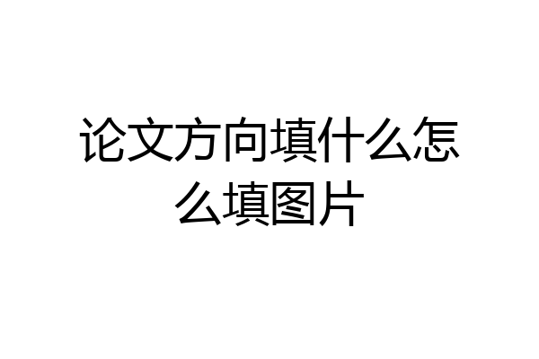 论文方向填什么怎么填图片
