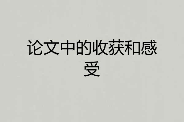 论文中的收获和感受