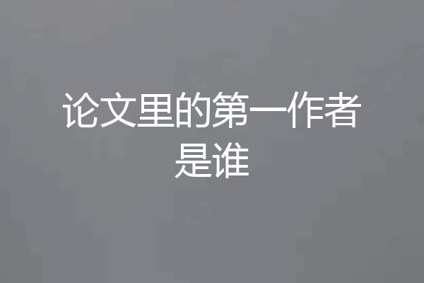 论文里的第一作者是谁