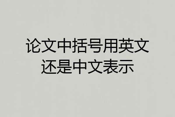 论文中括号用英文还是中文表示