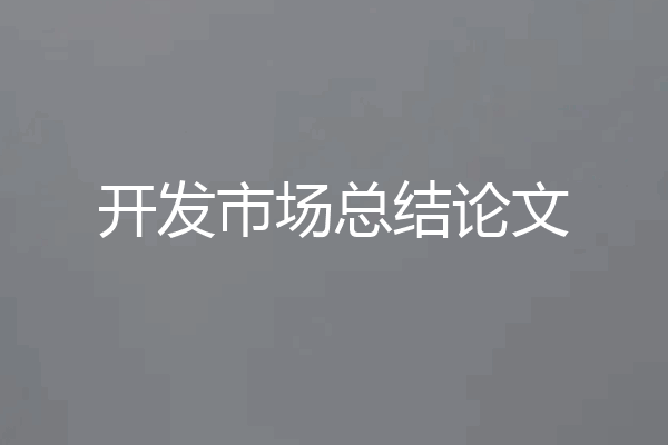开发市场总结论文