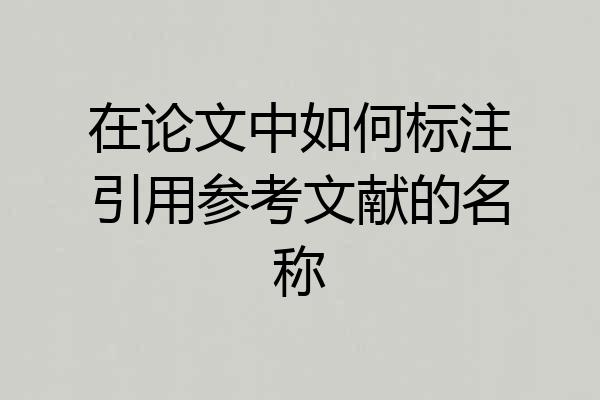 在论文中如何标注引用参考文献的名称