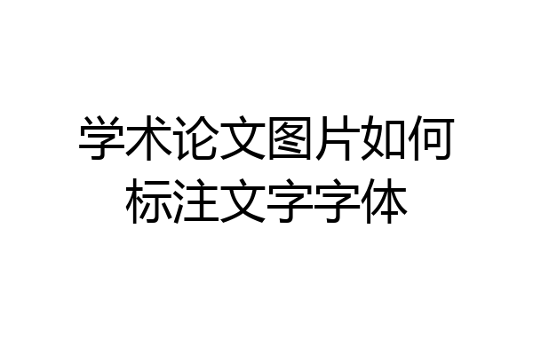 学术论文图片如何标注文字字体
