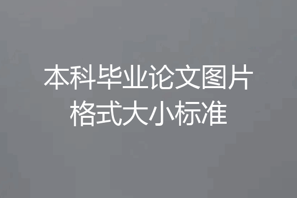 本科毕业论文图片格式大小标准
