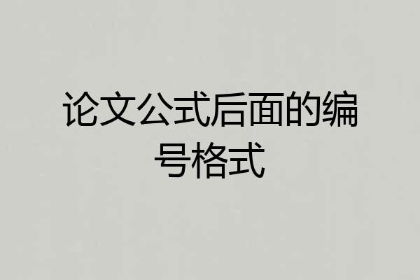 论文公式后面的编号格式