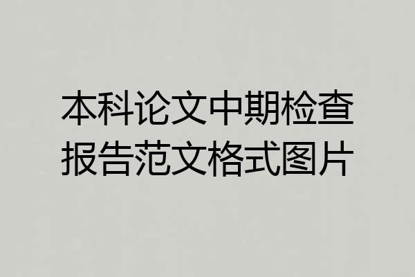 本科论文中期检查报告范文格式图片