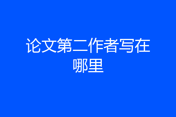 论文第二作者写在哪里