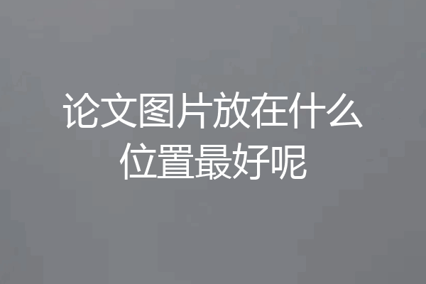 论文图片放在什么位置最好呢