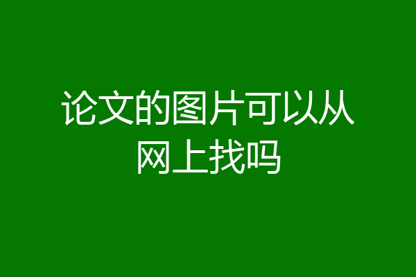 论文的图片可以从网上找吗