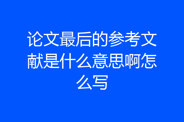 论文最后的参考文献是什么意思啊怎么写