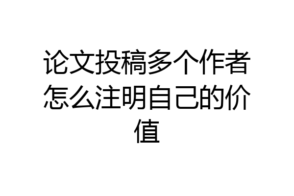 论文投稿多个作者怎么注明自己的价值