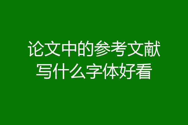 论文中的参考文献写什么字体好看