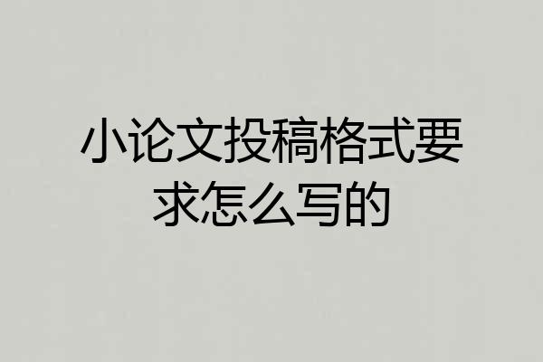小论文投稿格式要求怎么写的