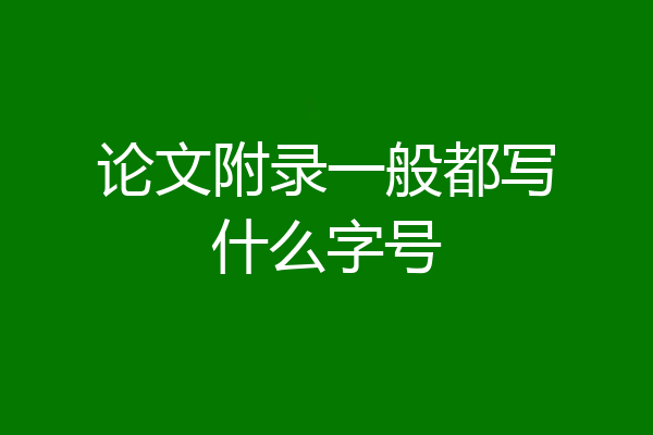 论文附录一般都写什么字号
