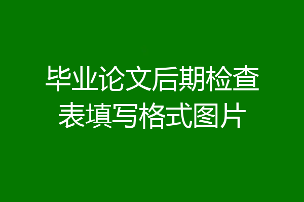 毕业论文后期检查表填写格式图片