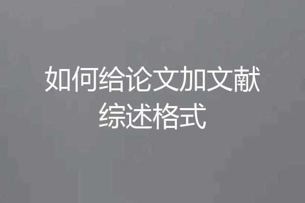 如何给论文加文献综述格式