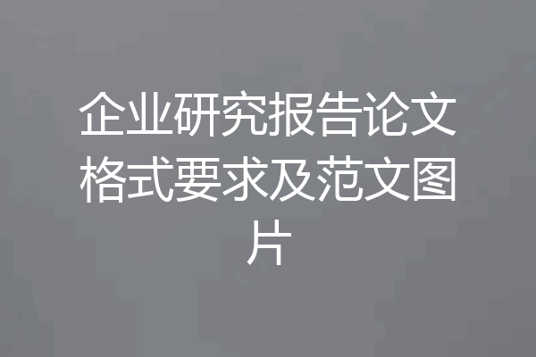 企业研究报告论文格式要求及范文图片