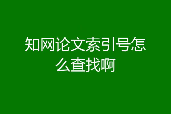 知网论文索引号怎么查找啊