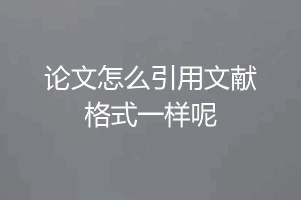 论文怎么引用文献格式一样呢