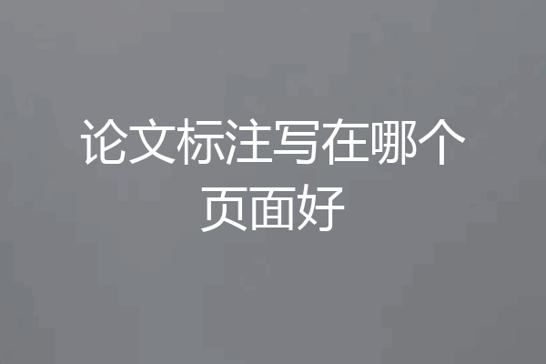 论文标注写在哪个页面好