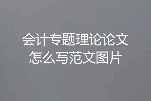 会计专题理论论文怎么写范文图片