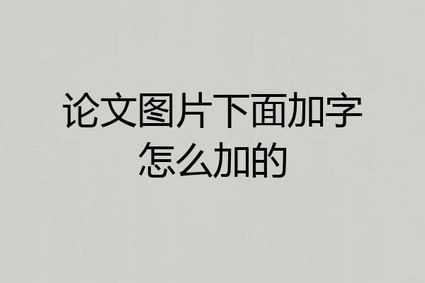 论文图片下面加字怎么加的
