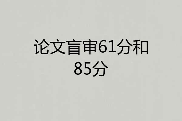 论文盲审61分和85分