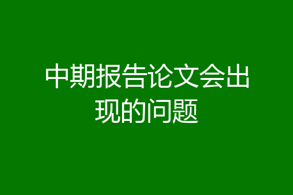 中期报告论文会出现的问题