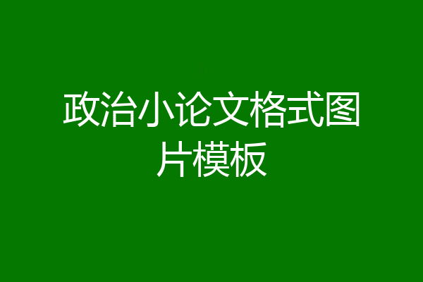 政治小论文格式图片模板