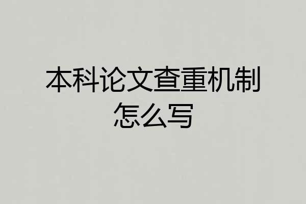 本科论文查重机制怎么写
