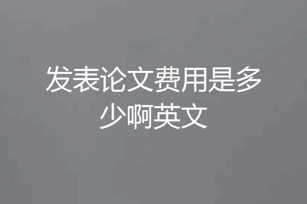 发表论文费用是多少啊英文