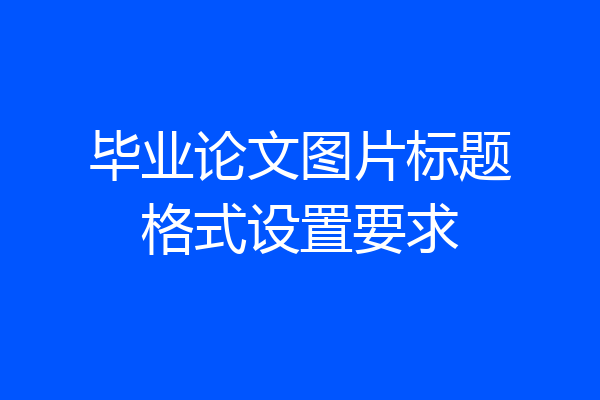 毕业论文图片标题格式设置要求