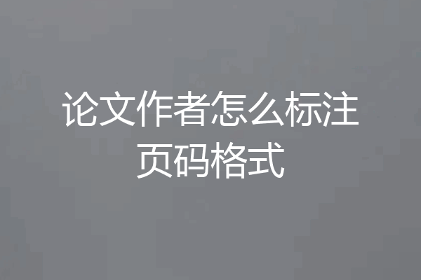 论文作者怎么标注页码格式